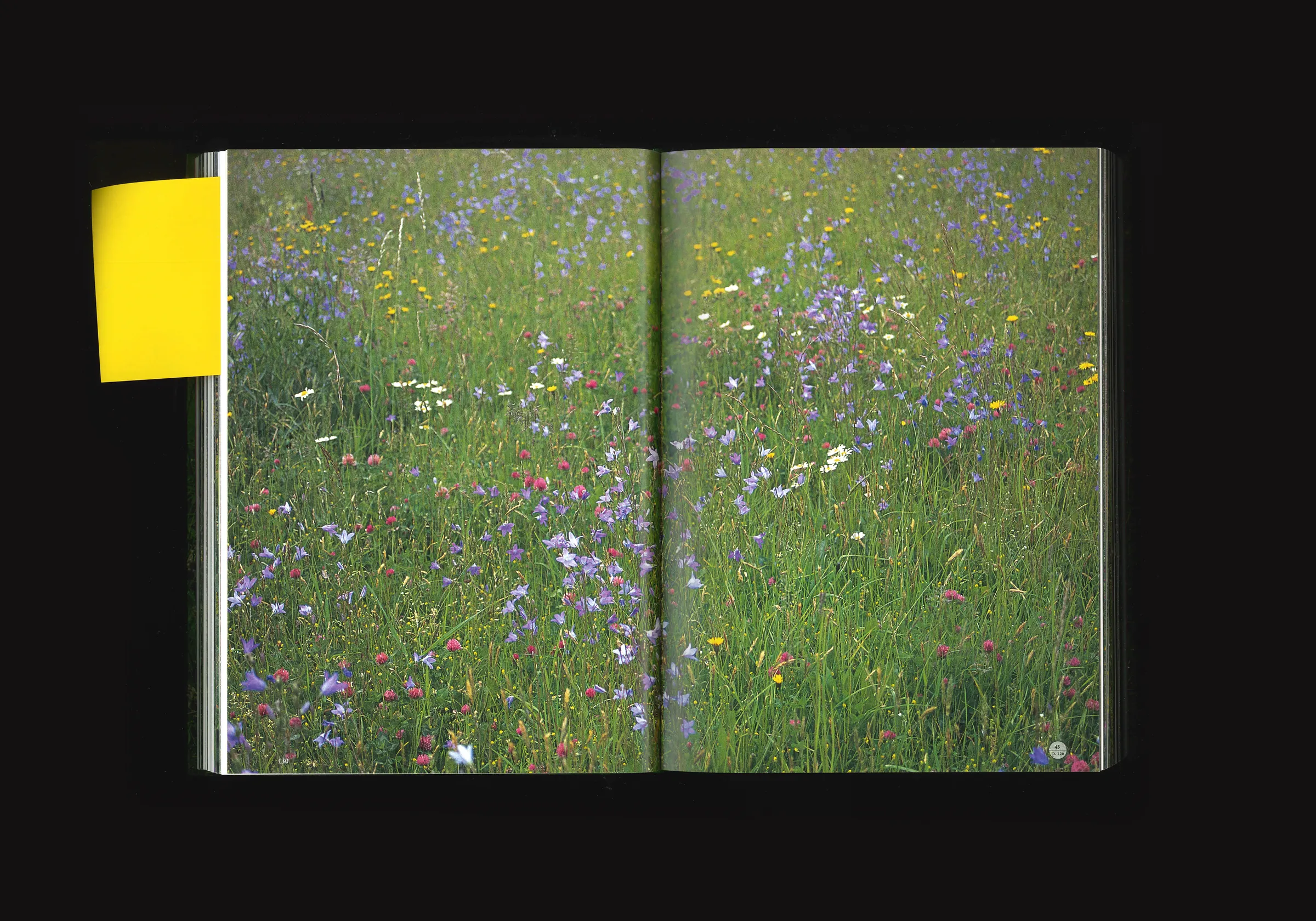 Essay on Gardening, image 5